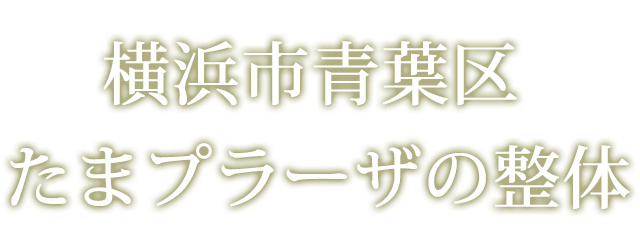 横浜市青葉区たまプラーザの整体