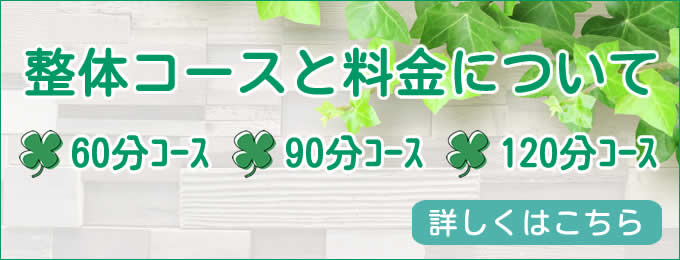整体コースと料金