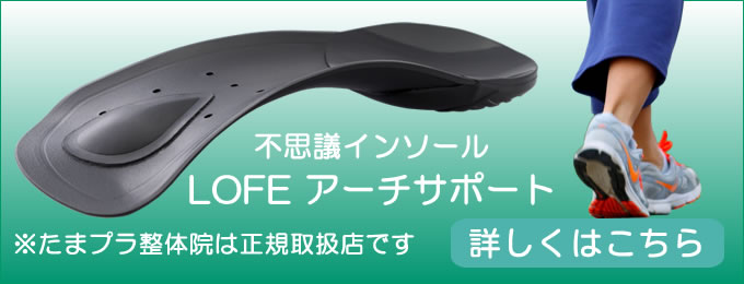 LOFEアーチサポート
